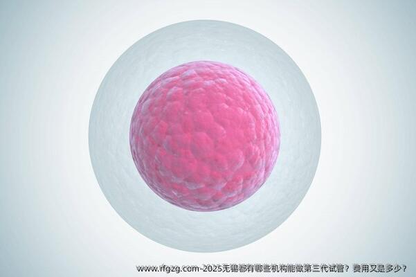 2025无锡都有哪些机构能做第三代试管？费用又是多少？