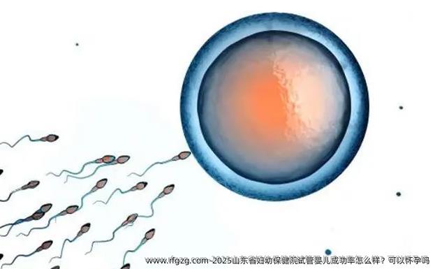 2025山东省妇幼保健院试管婴儿成功率怎么样？可以怀孕吗