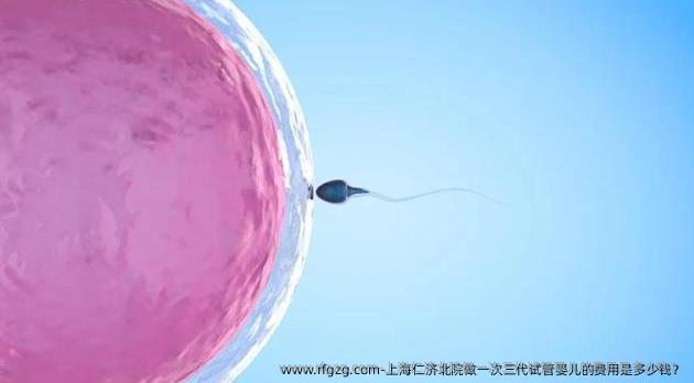 上海仁济北院做一次三代试管婴儿的费用是多少钱？