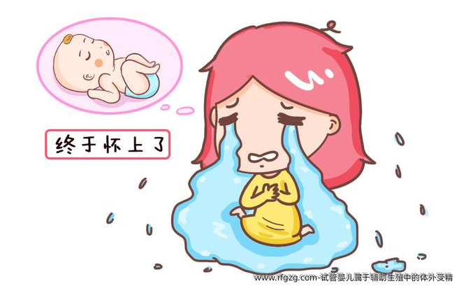 试管婴儿属于辅助生殖中的体外受精
