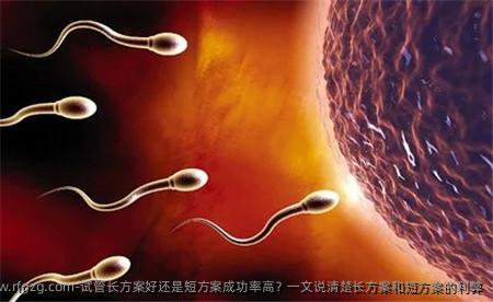 试管长方案好还是短方案成功率高？一文说清楚长方案和短方案的利弊