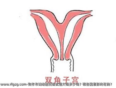 焦作市妇幼医院做试管大概多少钱？哪些因素影响花销？