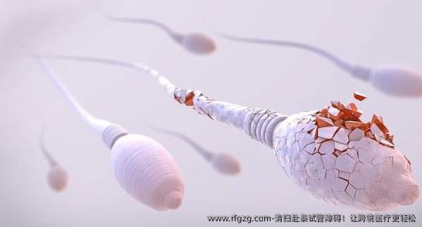 清扫赴泰试管障碍！让跨境医疗更轻松