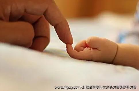 北京试管婴儿应选长方案还是短方案