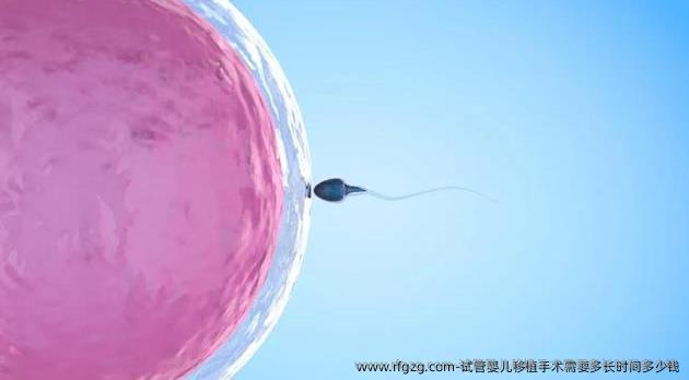 试管婴儿移植手术需要多长时间多少钱