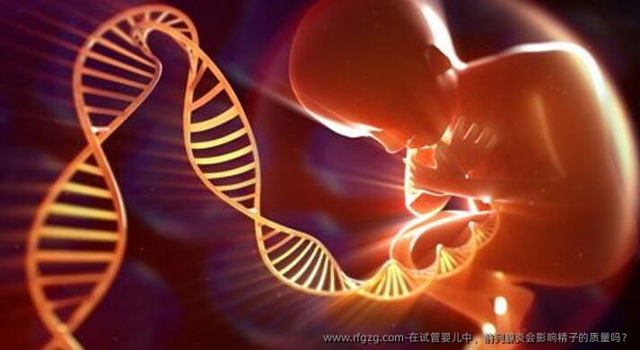 在试管婴儿中，前列腺炎会影响精子的质量吗？