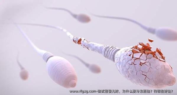 做试管婴儿时，为什么要冷冻胚胎？有哪些好处？