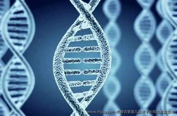 特需试管婴儿选精子必须匹配血型吗