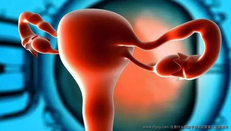 注意什么有助于提高试管婴儿的妊娠率