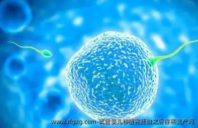 试管婴儿移植完胚胎之后容易流产吗