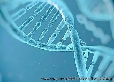 试管婴儿卵泡取出后为什么注射黄体酮