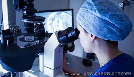 试管婴儿促排卵需要注意的事项有哪些