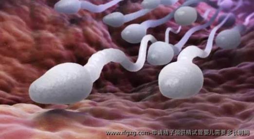 **做特需试管婴儿需要多长时间