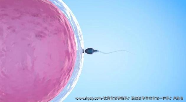 试管宝宝健康吗？跟自然孕育的宝宝一样吗？来看看