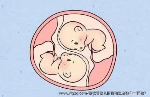 做试管婴儿的费用怎么都不一样呢？