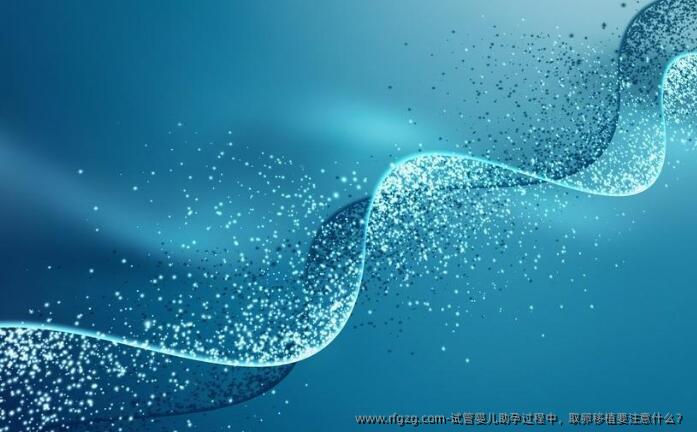 试管婴儿助孕过程中，卵泡取出移植要注意什么？