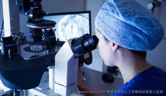 专家告诉你人工授精和试管婴儿区别