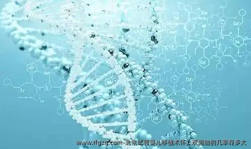 北京试管婴儿移植术怀上双胞胎的几率有多大