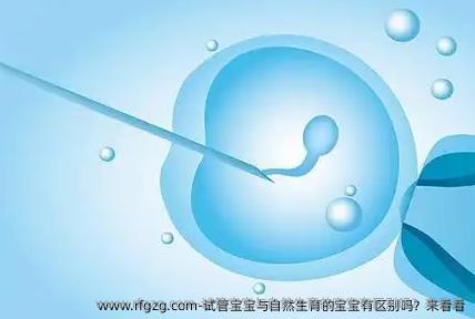 试管宝宝与自然生育的宝宝有区别吗？来看看
