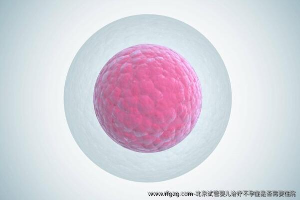 北京试管婴儿治疗不孕症是否需要住院