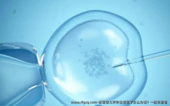 试管婴儿怀孕后感冒了怎么办呢？一起来看看