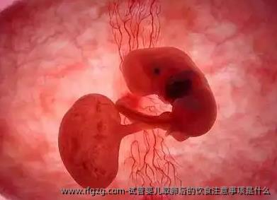 试管婴儿卵泡取出后的饮食注意事项是什么