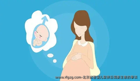 北京试管婴儿卵泡取出后需要注意的事项