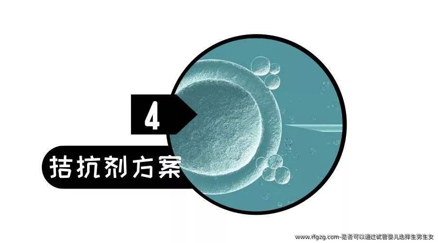 是否可以通过试管婴儿选择生孩子