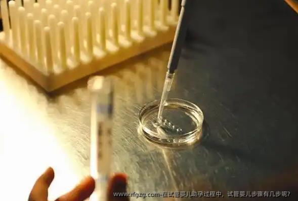 在试管婴儿助孕过程中，试管婴儿步骤有几步呢？