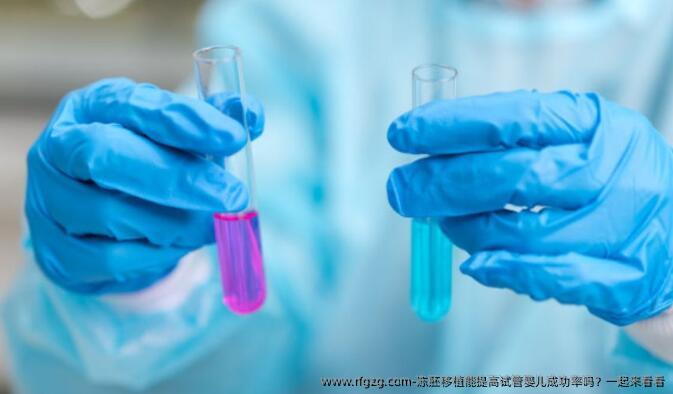 冻胚移植能提高试管婴儿成功率吗？一起来看看