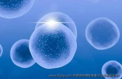 试管前的哪些准备可以提高成功率?