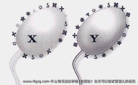 什么情况适合移植1枚胚胎？北京可以做试管婴儿的医院