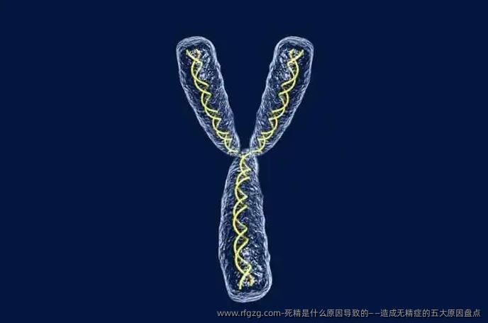 死精是什么原因导致的——造成无精症的五大原因盘点