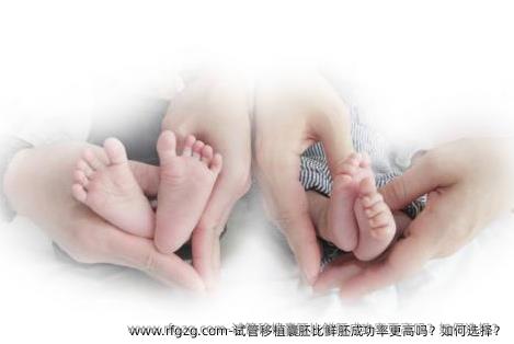 试管移植囊胚比鲜胚成功率更高吗？如何选择？