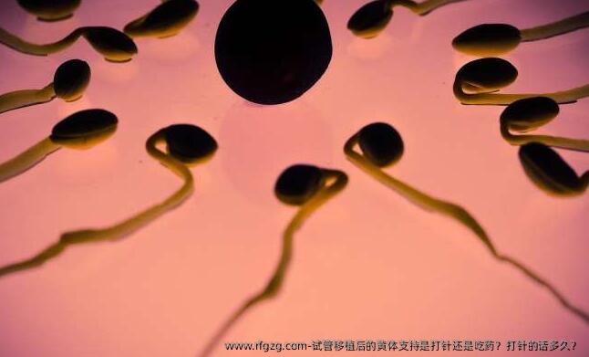 试管移植后的黄体支持是打针还是吃药？打针的话多久？