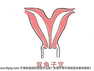 不育检查的项目是什么呢？女性不孕不育检查步骤有哪些？