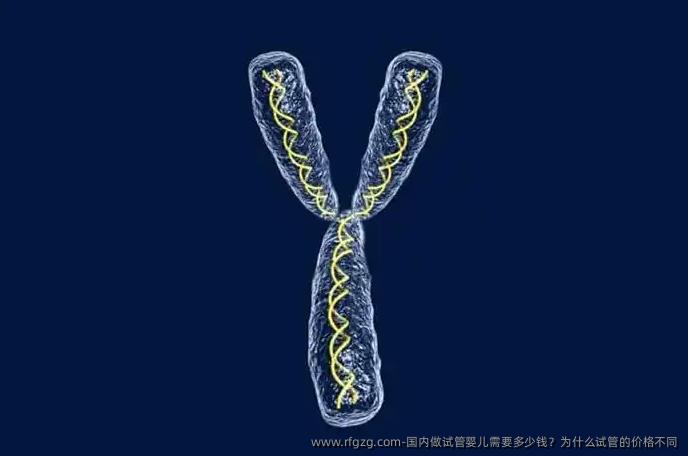 国内做试管婴儿需要多少钱？为什么试管的价格不同
