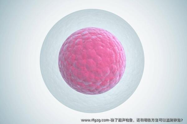 除了超声检查，还有哪些方法可以监测卵泡？