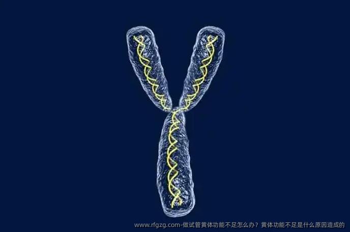 做试管黄体功能不足怎么办？黄体功能不足是什么原因造成的