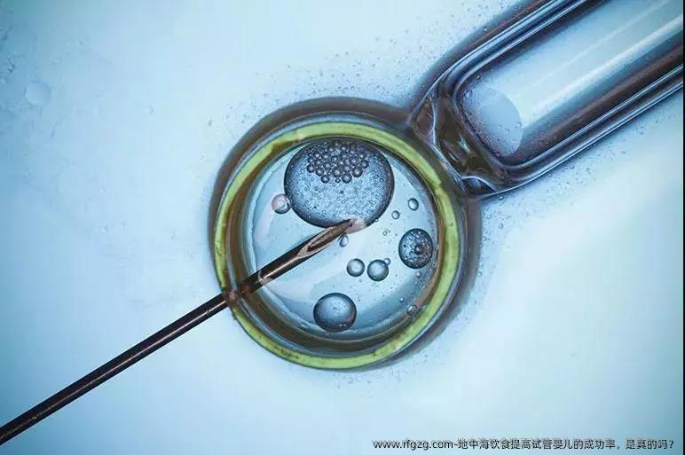 地中海饮食提高试管婴儿的成功率，是真的吗？