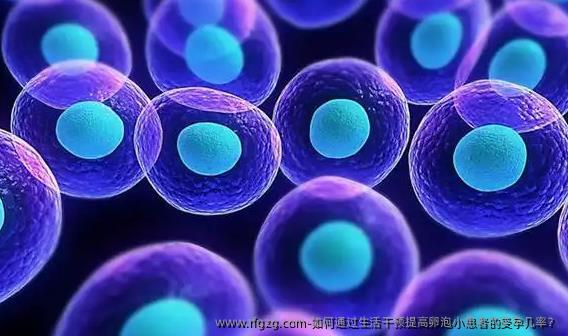 如何通过生活干预提高卵泡小患者的受孕几率？