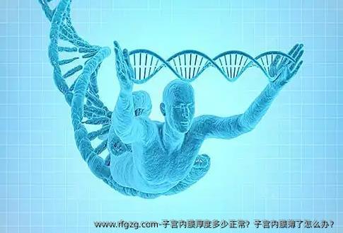 子宫内膜厚度多少正常？子宫内膜薄了怎么办？