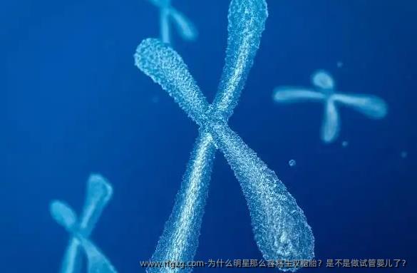 为什么明星那么容易生双胎？是不是做试管婴儿了？