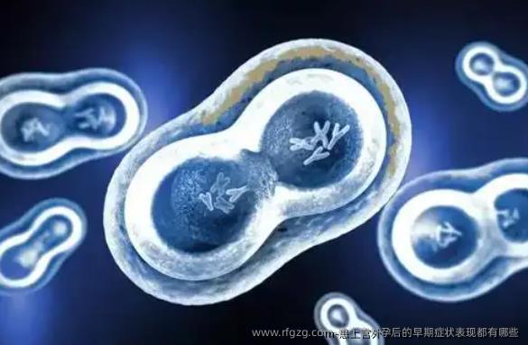 患上宫外孕后的早期症状表现都有哪些