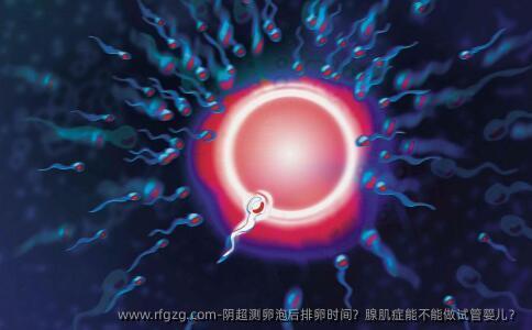 阴超测卵泡后排卵时间？腺肌症能不能做试管婴儿？