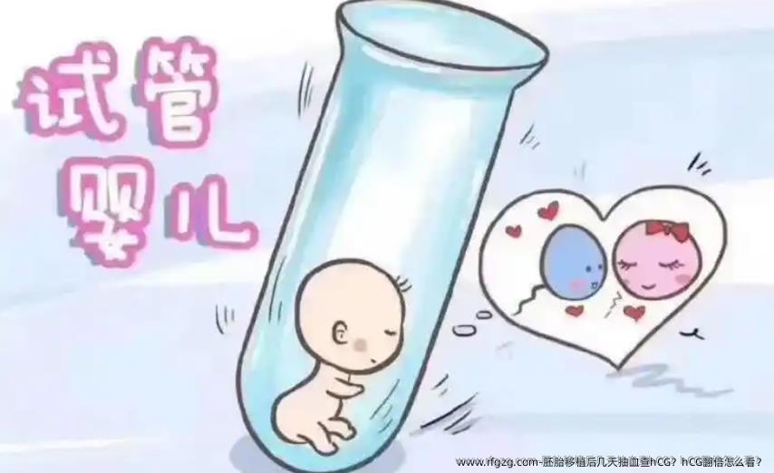 胚胎移植后几天抽血查hCG？hCG翻倍怎么看？