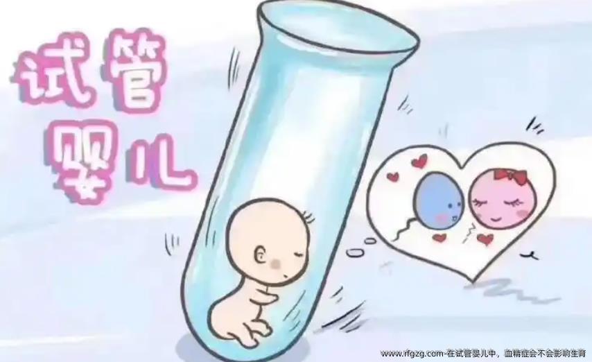 在试管婴儿中，血精症会不会影响生育