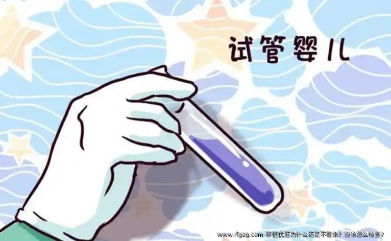 移植优胚为什么还是不着床？应该怎么检查？