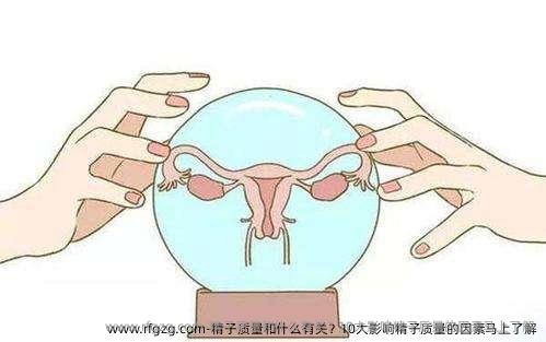 精子质量和什么有关？10大影响精子质量的因素马上了解