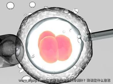 做试管为什么要打降调针？降调是什么意思